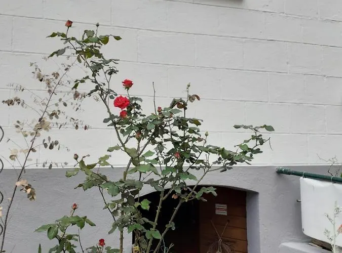 Anna's Haeuschen * Bremm