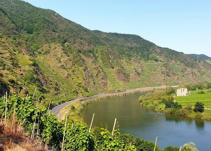 Anna's Haeuschen * Bremm